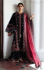 HUSSAIN REHAR LAWN BLIZ